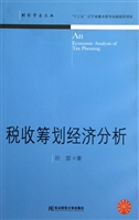 税收筹划经济分析
