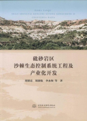 砒砂岩区沙棘生态控制