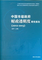 中国市级政府财政透明
