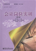 会计岗位实训