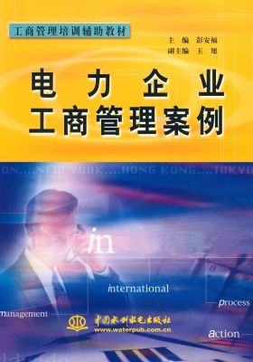 电力企业工商管理案例