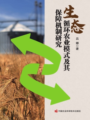 生态循环农业模式及其