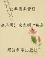 公共债务管理