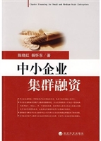 中小企业集群融资
