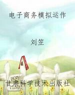 电子商务模拟运作
