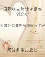 国际收支统计申报实例