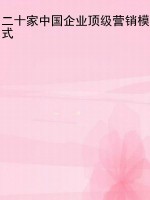 二十家中国企业顶级营