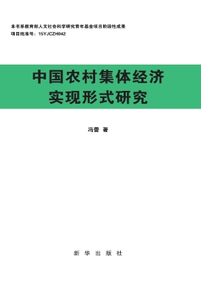 中国农村集体经济实现