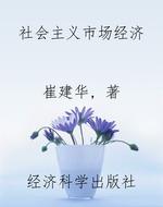 社会主义市场经济