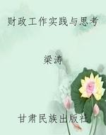 财政工作实践与思考