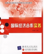国际经济合作实务
