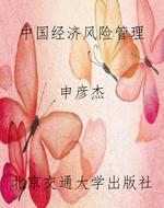 中国经济风险管理