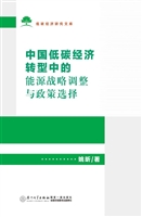 中国低碳经济转型中的