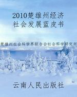 2010楚雄州经济社会发