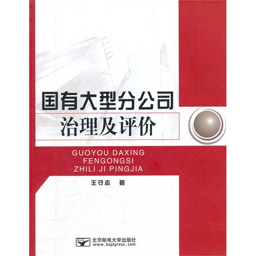 国有大型分公司治理及