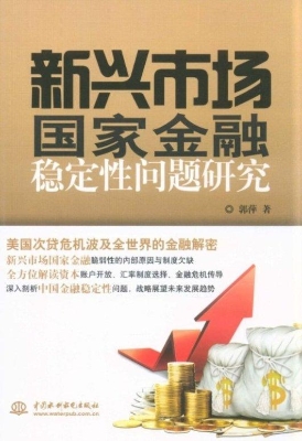 新兴市场国家金融稳定