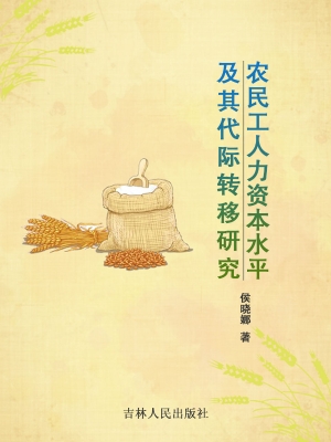 农民工人力资本水平及