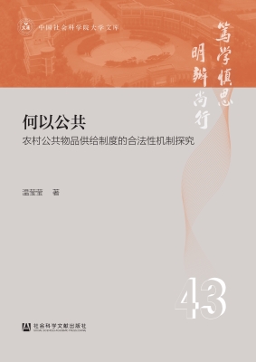 何以公共：农村公共物品