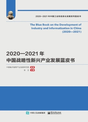 2020—2021年中国战略