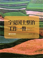 宁夏国土整治工作一瞥