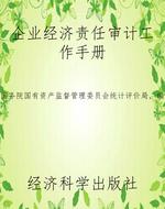 企业经济责任审计工作