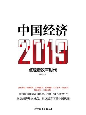 中国经济 2019——点