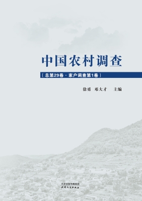中国农村调查（总第29卷