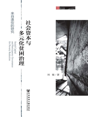社会资本与多元化贫困