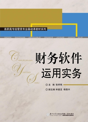 财务软件运用实务