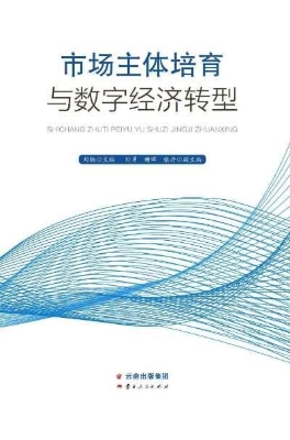 市场主体培育与数字经