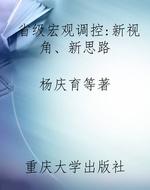 省级宏观调控：新视角、