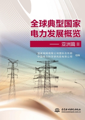 全球典型国家电力发展
