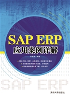 SAP ERP应用案例详解
