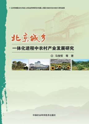 北京城乡一体化进程中