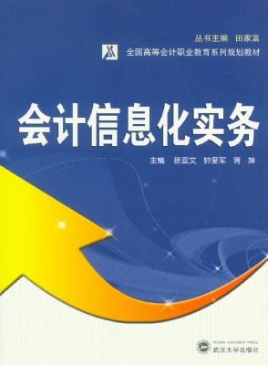 会计信息化实务