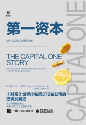 第一资本——新兴公司