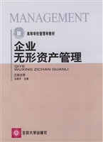 企业无形资产管理