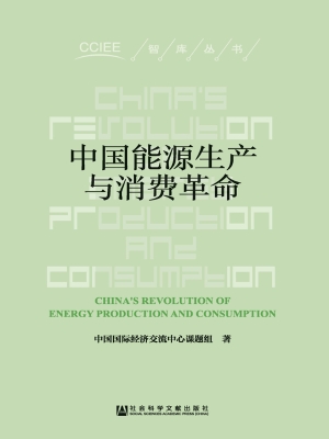 中国能源生产与消费革