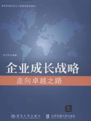 企业成长战略——走向