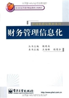 财务管理信息化