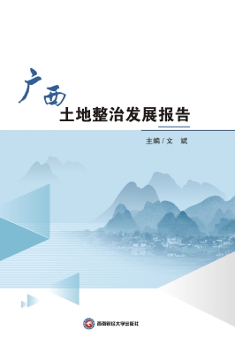 广西土地整治发展报告