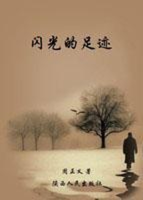 闪光的足迹
