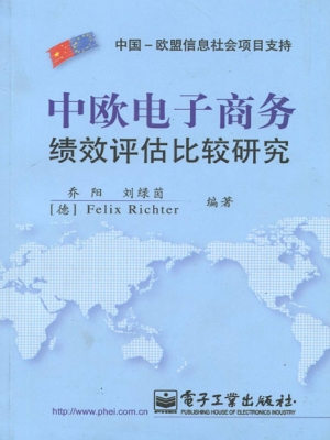 中欧电子商务绩效评估