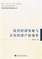民营经济发展与公有经