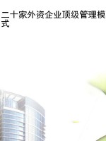 二十家外资企业顶级管