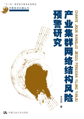 产业集群网络结构风险