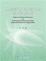 农村新型合作经济组织