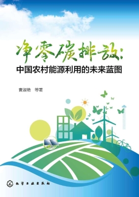 净零碳排放：中国农村能