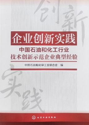 企业创新实践——中国