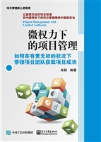 微权力下的项目管理—
